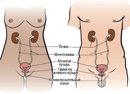 «В воде что-то есть!»: вышел финальный трейлер хоррора «Чужой: Ромул»