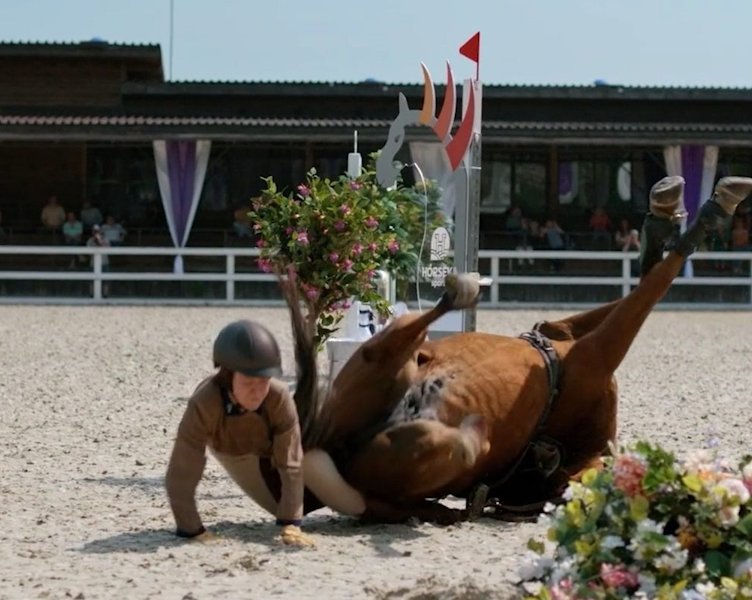 Это очень плохо: мучить животных ради кино