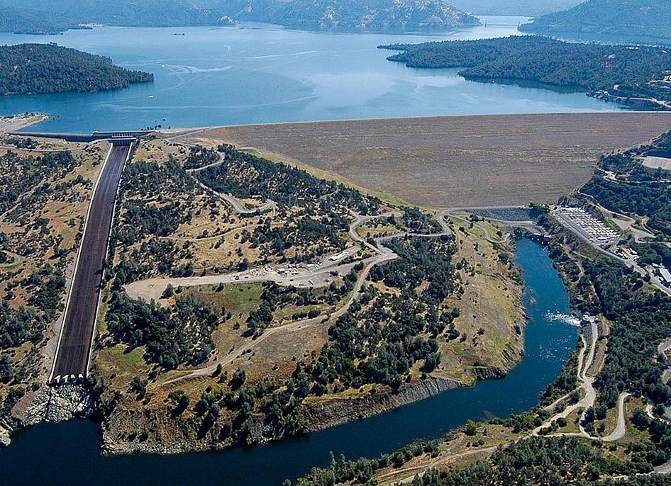 Бассейны без лестниц будут: экранизации The Sims от компании Марго Робби дали зелёный свет